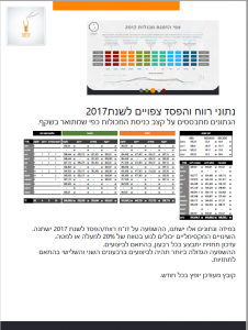 דף מידע למצגת עסקית
